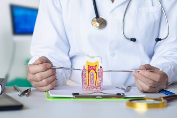 Best Emergency Dental Care for Trauma or Injury in Mayfield, PA